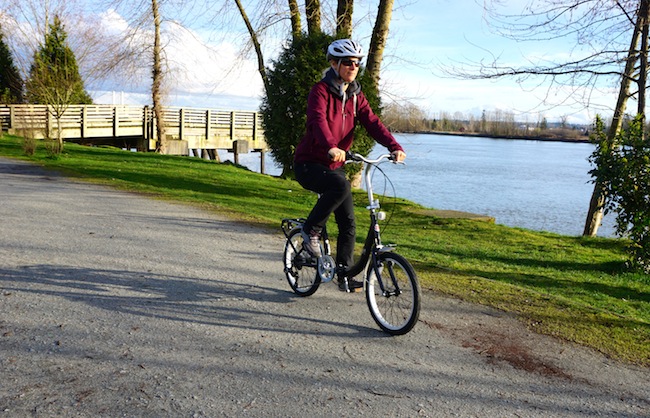 Schwinn Loop Folding Bike Review 2024 jasterluis